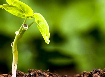 Digital Skills Bootcamps